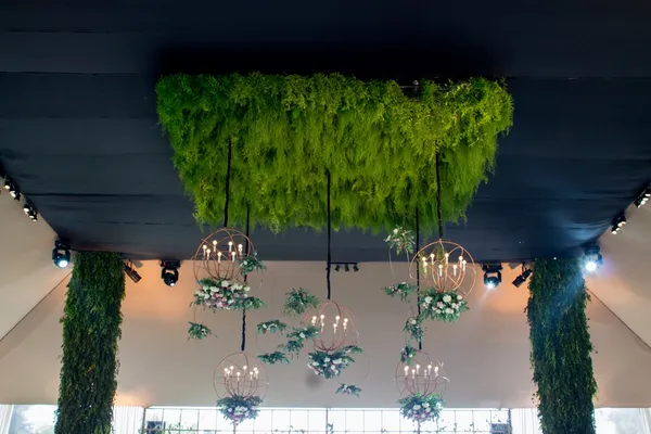 Matrimonio de día - Imagen