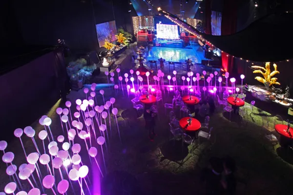 Fiesta Casino - Imagen