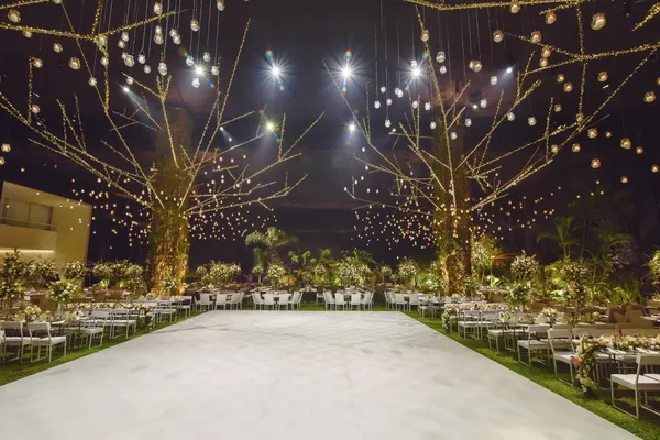 Matrimonio con luces - Imagen
