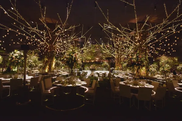 Matrimonio con luces - Imagen