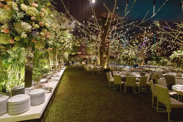 Matrimonio con luces - Imagen