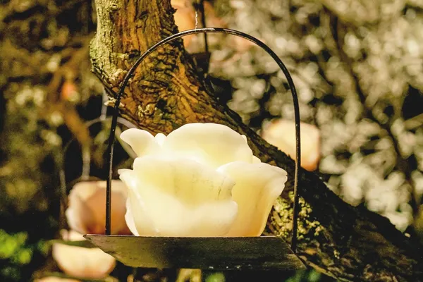 Matrimonio en Casuarinas - Imagen