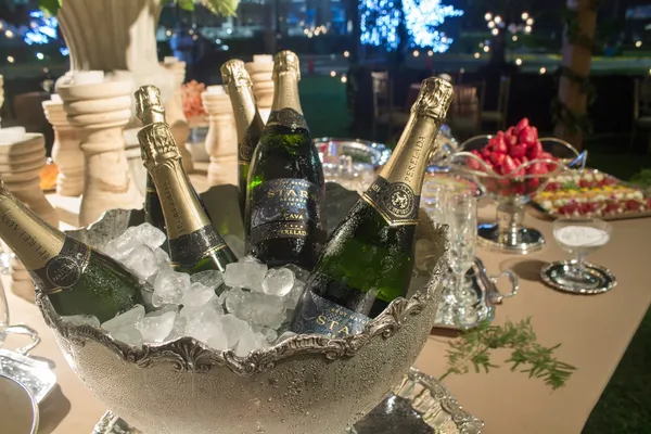 Matrimonio en Villa - Imagen
